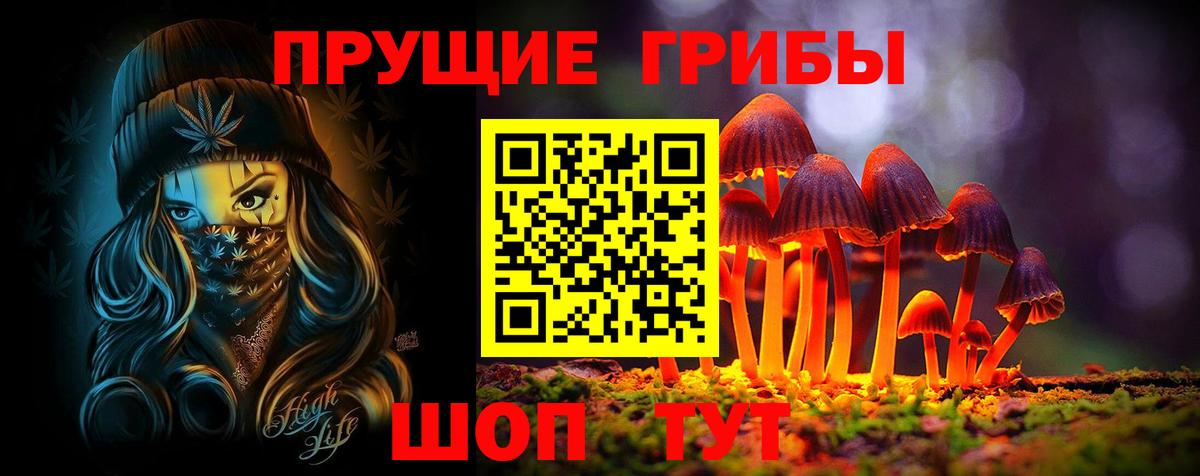 Псилоцибиновые грибы Cubensis Северск